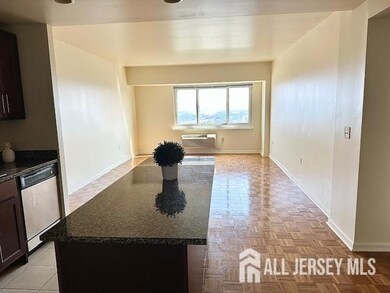 110 Somerset St unit 2101, New Brunswick, NJ 08901 - photo 6