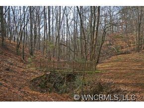 Lot 37 Wolf River Ln unit 37, Lake Lure, NC 28746 - photo 5