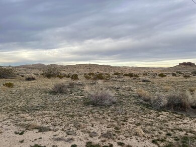 4751 Ace Ave, Rosamond, CA 93560 - photo 4