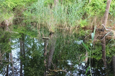 7300 Oak Ridge Place unit 5A, Chincoteague, VA 23336 - photo 5