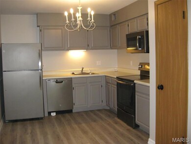 7507 Triwoods Dr unit D, Saint Louis, MO 63119 - photo 2