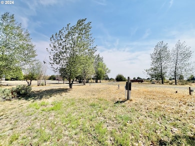 123 Dot Rd, Bickleton, WA 99322 - photo 6