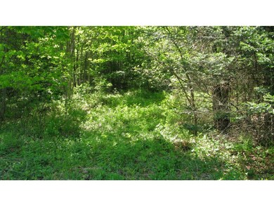 16/1 Main St, Bethlehem, NH 03574 - photo 7