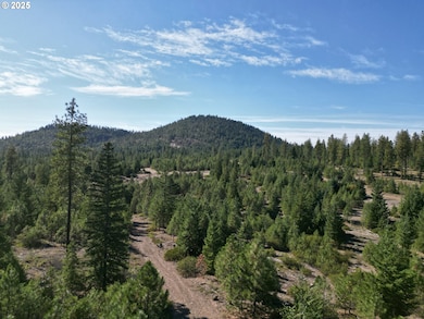 0 Black Butte Lot 7 unit 419110351, Goldendale, WA 98620 - photo 7