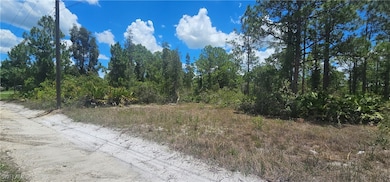 Angled view of front of property, looking northeas