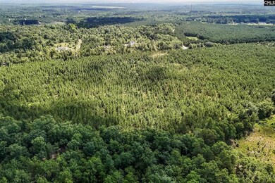 4000 Old Ninety Six Indian Trail, Wagener, SC 29164 - photo 6