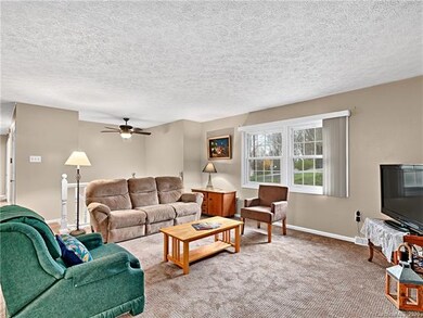 10 Wondu View Ct, Asheville, NC 28806 - photo 5