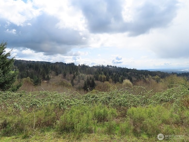 903 Confer Rd, Kalama, WA 98625 - photo 3