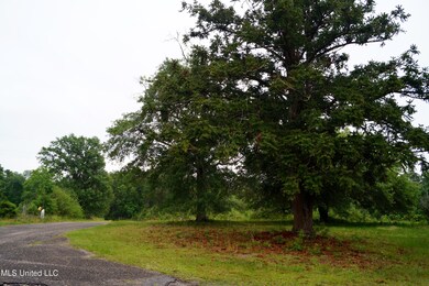 181 Jub Hickman Rd, Perkinston, MS 39573 - photo 3