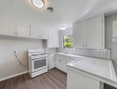 815 Rainy River Dr, Houston, TX 77088 - photo 7