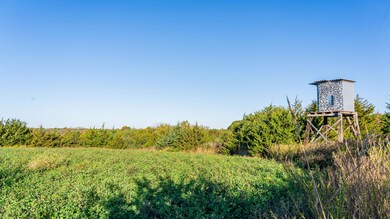 0 Virginia St unit 25341718, New Virginia, IA 50210 - photo 6