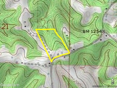 4191 N Woolum Rd, Western Grove, AR 72685 - photo 4