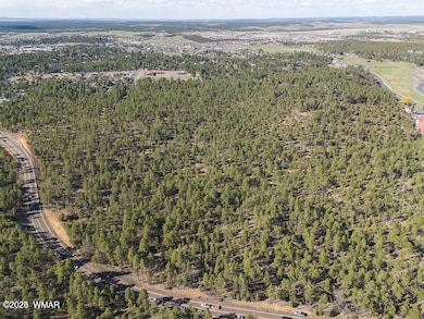 0 E Woolford Rd, Show Low, AZ 85901 - photo 6