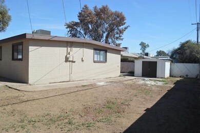 Back yard 3