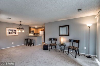 1506 Summerchase Ct unit 1506-C, Reston, VA 20194 - photo 7