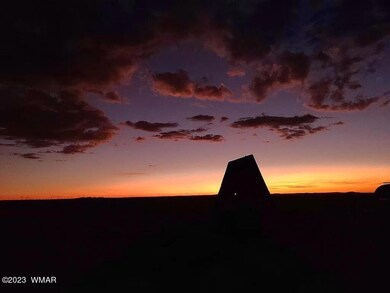 8181 Uttecht Trail, Snowflake, AZ 85937 - photo 3