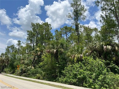 0 13th St SW unit 223047147, Naples, FL 34117 - photo 4