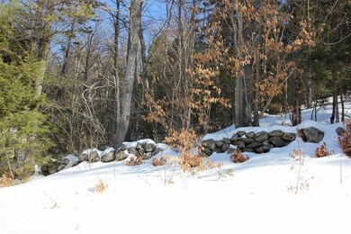 IMG_7831_1620x1080
