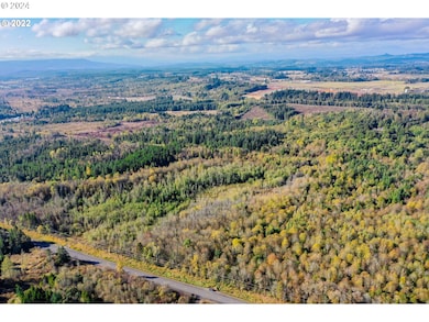 0 Henriot Rd, Winlock, WA 98596 - photo 2