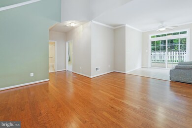 6001 Upland Meadow Ct, Gainesville, VA 20155 - photo 7