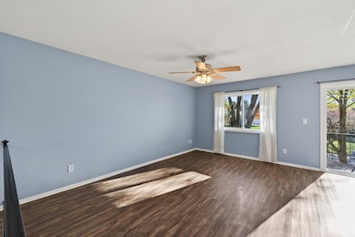 Living room, lots of natural light!