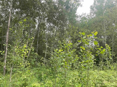 0 W Miller Rd unit 50168811, Mio, MI 48647 - photo 4