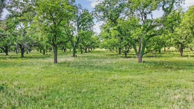 179 County Road 348, Gorman, TX 76454 - photo 3
