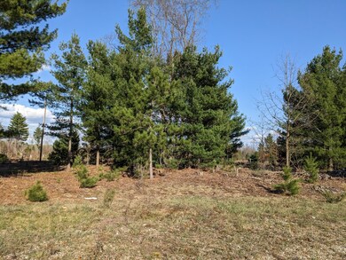 PXL_20230424_221719091