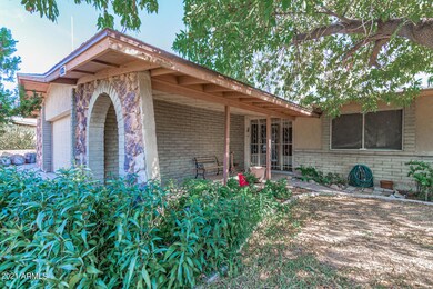 Shady Front Yard