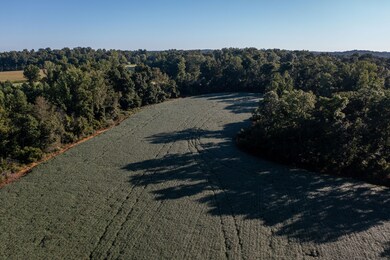 1196 Hoot Rd, Spencer, IN 47460 - photo 3