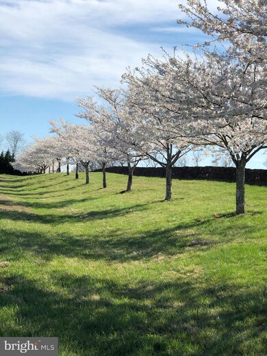 96 Lyle Ln, Amissville, VA 20106 - photo 7