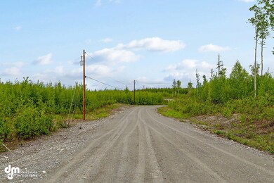 B4 L10 S Preston Hills Dr, Big Lake, AK 99654 - photo 6