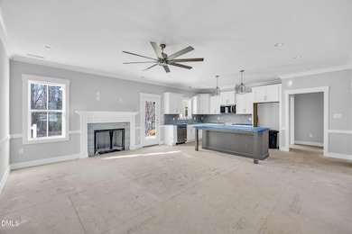 228 Dr, Smithfield, NC 27577 - photo 4