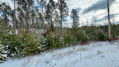 0 County X Rd unit 50318765, Crivitz, WI 54114 - photo 4