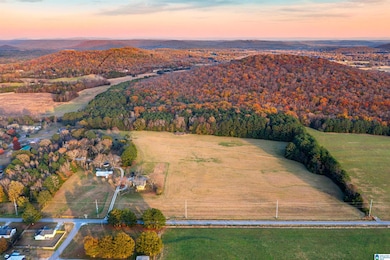 0 Old Six Mile Rd unit 21437335, Somerville, AL 35670 - photo 4