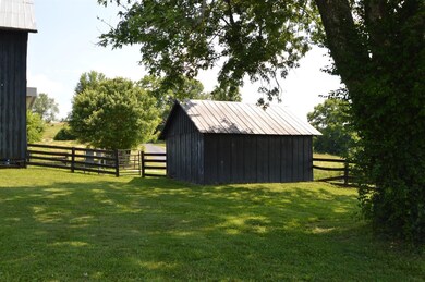 1723 Cummins Ferry Rd, Versailles, KY 40383 - photo 3
