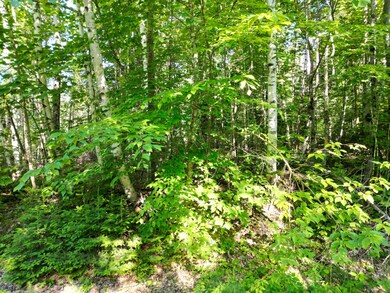 DJI_0758