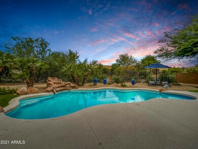 Rear Yard - Twilight