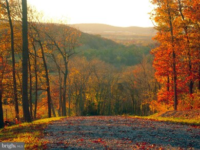 3413 Flint Hill Rd, Adamstown, MD 21710 - photo 4