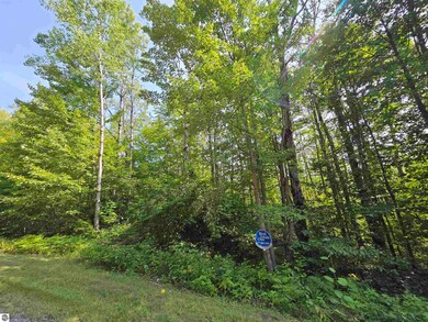 1617 Springdale, Lakes of the North, MI 49730 - photo 2