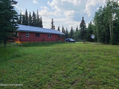 L11 B3 Tri Valley, Healy, AK 99743 - photo 4
