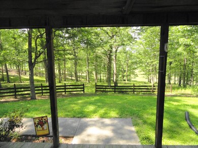 Small section of yard
