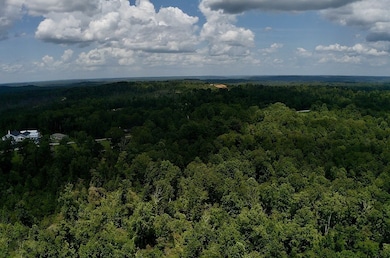 0 Mouse Tail Rd, Parsons, TN 38363 - photo 4