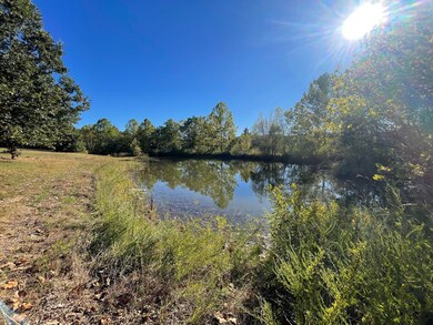 pond