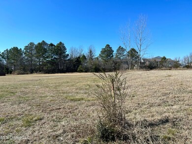 0 Stark Rd, Starkville, MS 39759 - photo 7