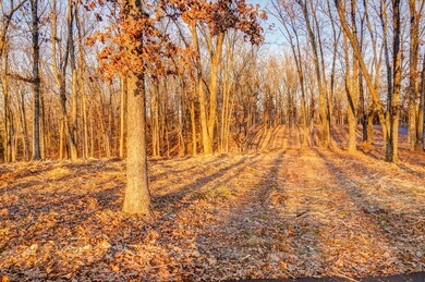Lot 5 Sycamore Ridge 2024 31