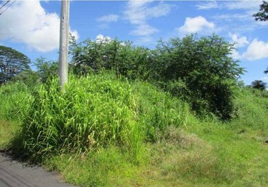 0 N Lauko Rd unit 725840, Mountain View, HI 96771 - photo 2