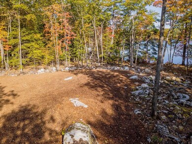 49 Basin Rd, Tuftonboro, NH 03853 - photo 5