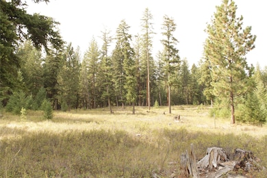 27603 Issac Creek Rd, Huson, MT 59846 - photo 5