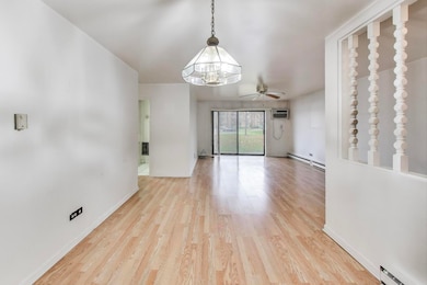 931 W Arquilla Dr unit 133, Glenwood, IL 60425 - photo 7